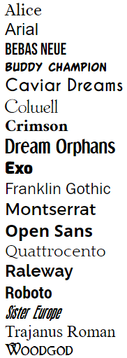 veonics portal font options